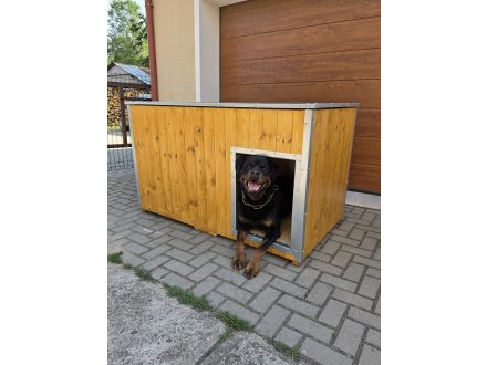 Psí bouda na míru