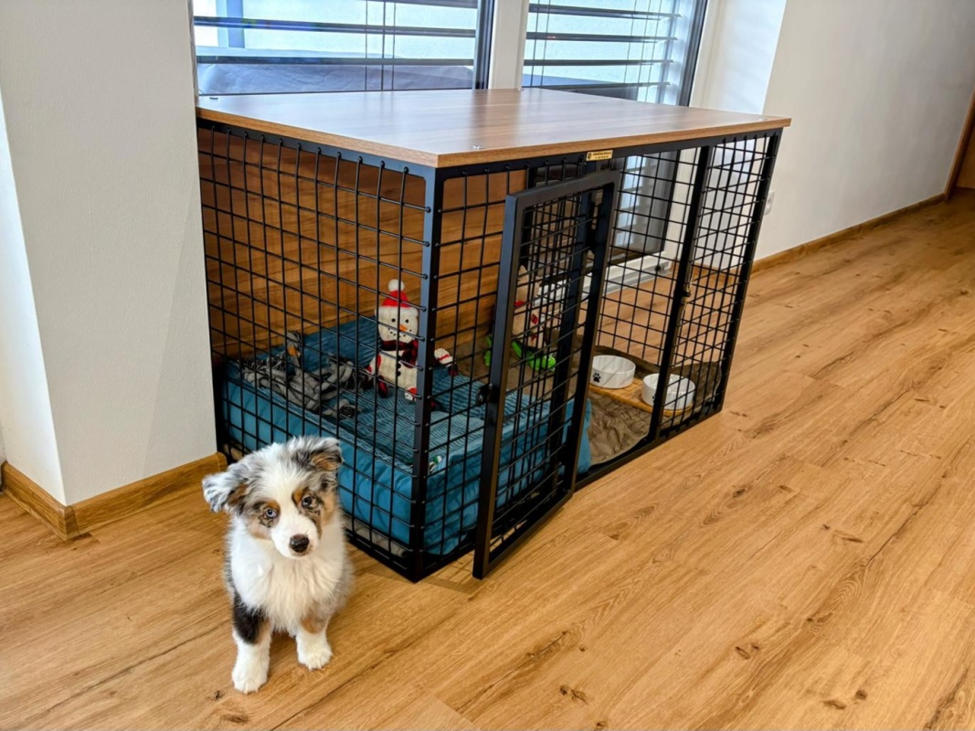 Boxy klece